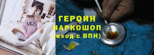 гидра Богданович