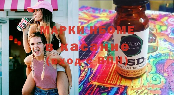 индика Аркадак