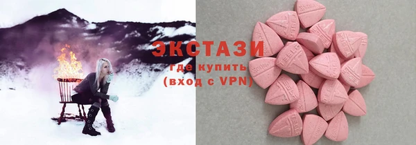 гидра Богданович