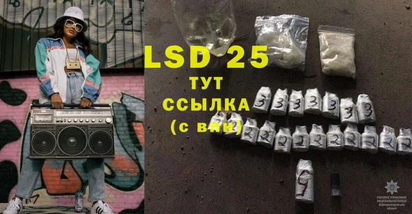 гидра Богданович