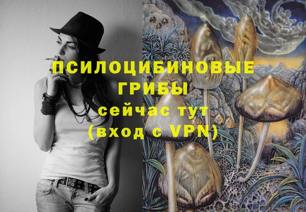 спайс Армянск