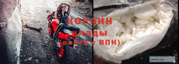 индика Аркадак