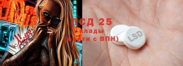 индика Аркадак