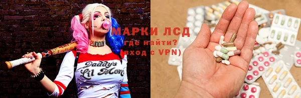 гидра Богданович