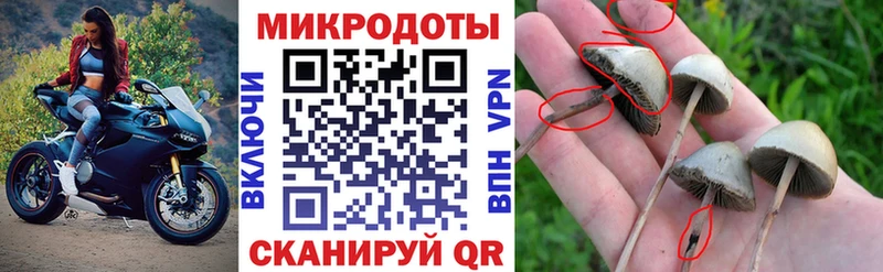Галлюциногенные грибы Cubensis  Голицыно 